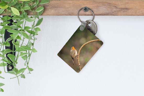 Porte-clés - Rouge-gorge - Vogel - Nature - Distribution de cadeaux - Plastique