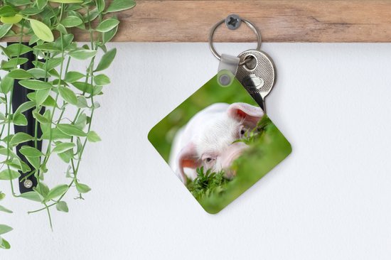 Porte-clés - Cadeaux - Cochon - Animaux - Porcelet - Plastique