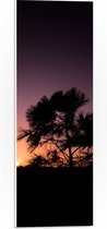 WallClassics - PVC Schuimplaat- silhouet van Zonsondergang achter Boompje - 20x60 cm Foto op PVC Schuimplaat