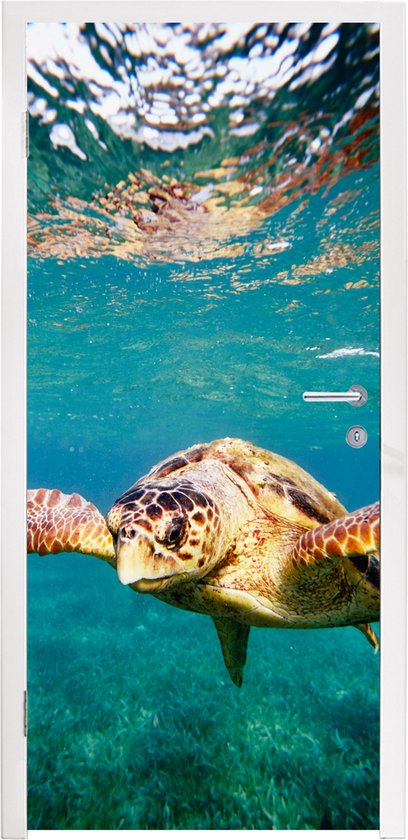 Foto: Deursticker schildpad water blauw 85x205 cm deurposter