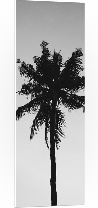 WallClassics - PVC Schuimplaat- Silhouet van Smalle Palmboom (zwart/wit) - 40x120 cm Foto op PVC Schuimplaat