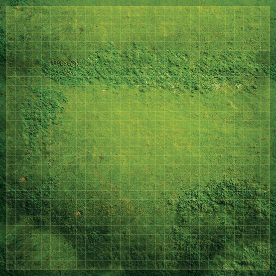 Thumbnail van een extra afbeelding van het spel Battlemap - Flowing Fields (80x80cm) 1 inch vakjes