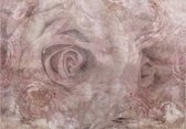 Photo Wallpaper King - Papier peint - Papier peint Papier peint non tissé - Papier peint photo - Pensées roses - Rose - Roses Art - 300 x 210 cm