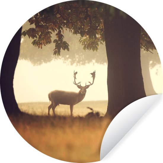 Wallpaper Circle - Cerf - Arbres - Forêt - 80x80 cm - Wall Circle