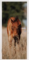 Deursticker Paard - Zon - Landschap - 80x215 cm - Deurposter