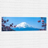 WallClassics - Muursticker - Berg in de Verte met Roze Bloemen - 120x40 cm Foto op Muursticker