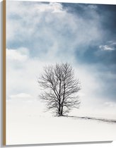 WallClassics - Hout - Kale Eenzame Boom in Sneeuwlandschap - 75x100 cm - 12 mm dik - Foto op Hout (Met Ophangsysteem)