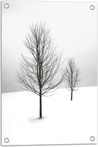 WallClassics - Tuinposter – Twee Kale Bomen in Sneeuwlandschap - 40x60 cm Foto op Tuinposter  (wanddecoratie voor buiten en binnen)