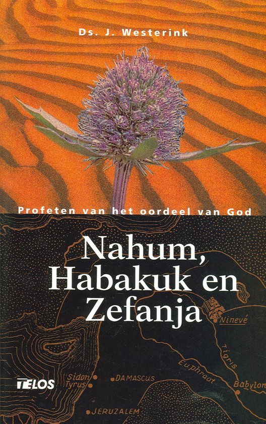 Cover van het boek 'Nahum, Habakuk en Zefanja' van J. Westerink