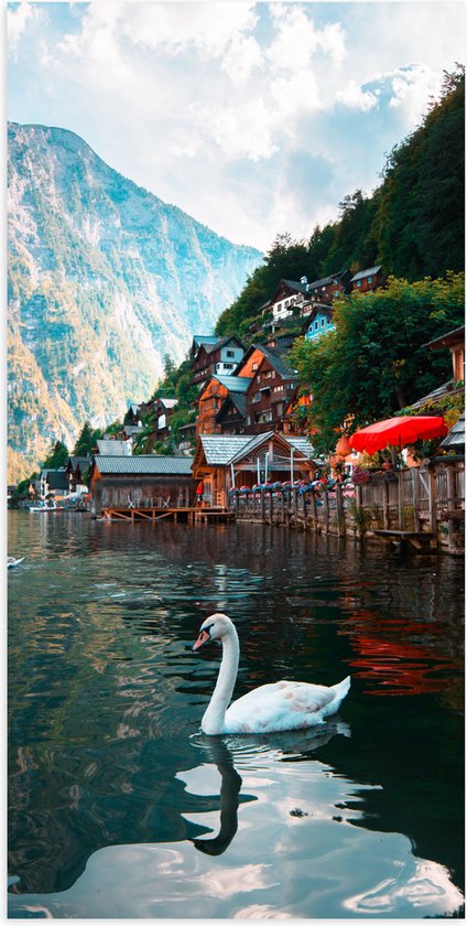 WallClassics - Poster Glossy - Beautiful Swan at Maisons on the Water - 50x100 cm Photo sur Papier Poster avec Finition Brillante