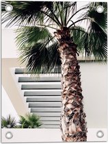 WallClassics - Tuinposter – Palmboom voor Wit Gebouw - 30x40 cm Foto op Tuinposter  (wanddecoratie voor buiten en binnen)