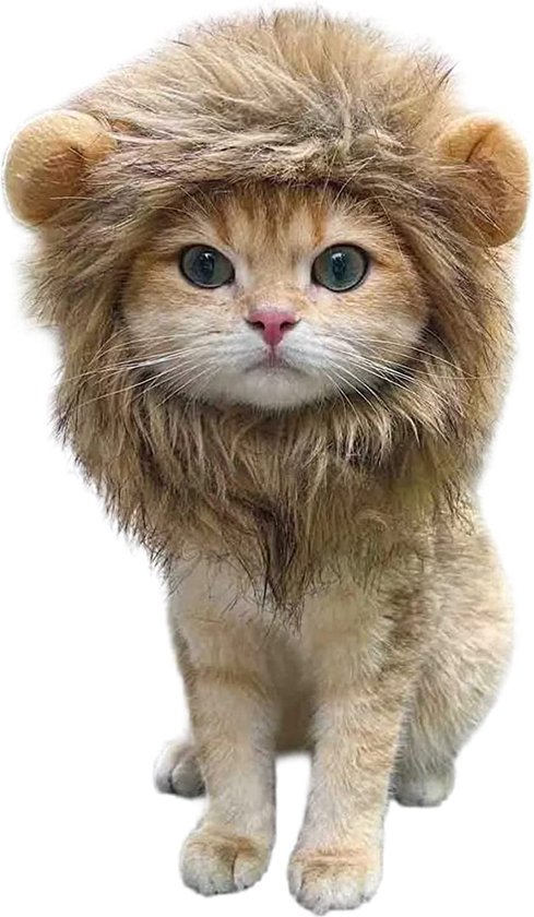 ZERO 90® Leeuwenmanen kat - kleding voor katten - katten muts - katten  kostuum -... | bol