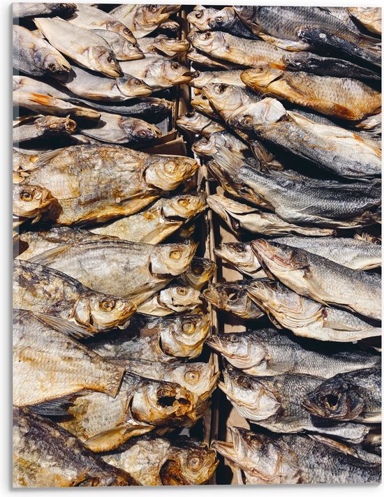 WallClassics - Acrylglas - Verse Vissen op een Vismarkt - 30x40 cm Foto op Acrylglas (Met Ophangsysteem)