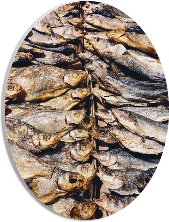 WallClassics - PVC Schuimplaat Ovaal - Verse Vissen op een Vismarkt - 21x28 cm Foto op Ovaal  (Met Ophangsysteem)