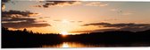 WallClassics - Dibond - Zonsondergang aan Bosrand - 90x30 cm Foto op Aluminium (Met Ophangsysteem)