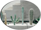 WallClassics - Dibond Ovaal - Cactus Plantenbak - 28x21 cm Foto op Ovaal (Met Ophangsysteem)