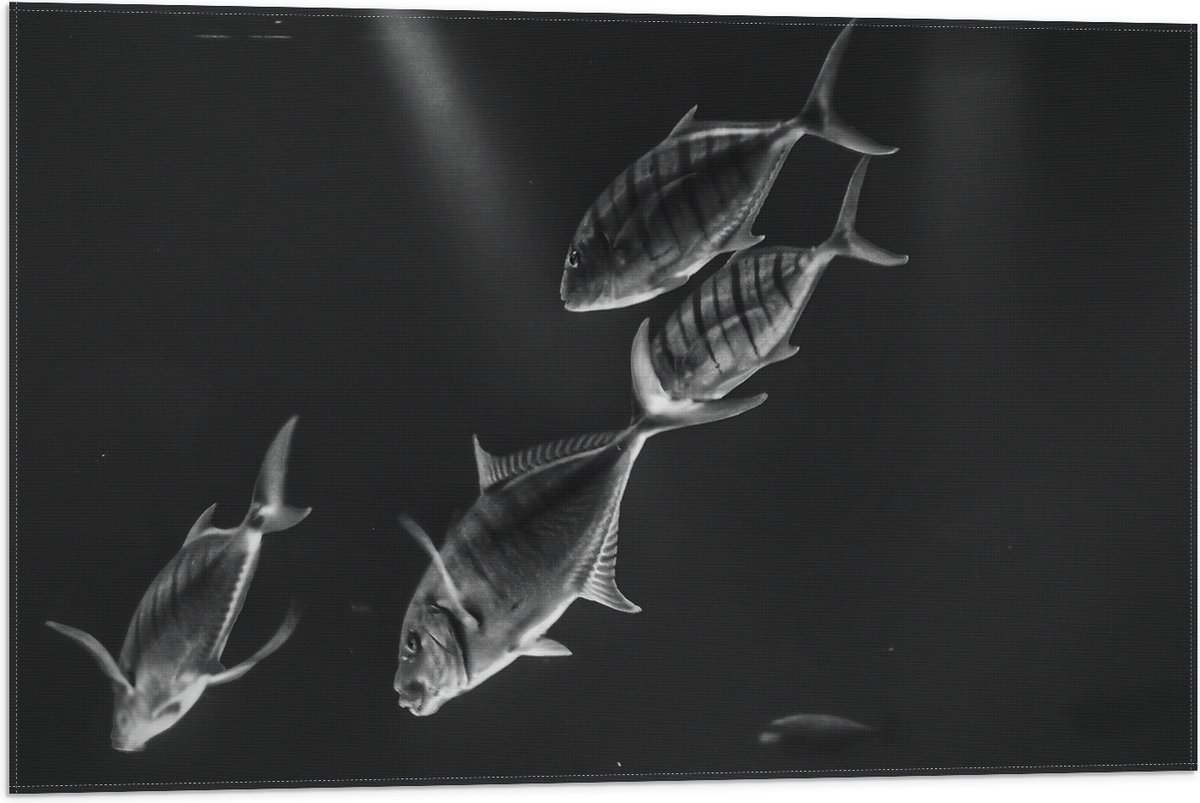 Vlag - Vissen in het Aquarium Zwart - Wit - 75x50 cm Foto op Polyester Vlag