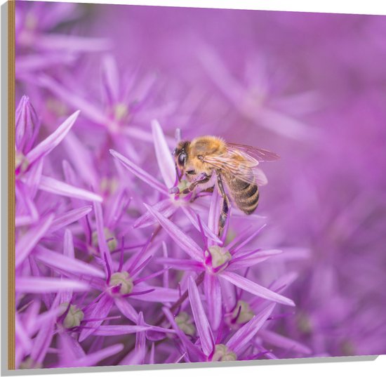 WallClassics - Hout - Paarse Bloemen met Bij - 100x100 cm - 12 mm dik - Foto op Hout (Met Ophangsysteem)