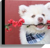 WallClassics - Canvas  - Witte Hond met Bloementak - 30x30 cm Foto op Canvas Schilderij (Wanddecoratie op Canvas)