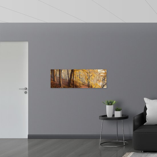 WallClassics - Bois - Rayons de Soleil entre Forêt d'Automne - 120x40 cm - 12 mm d'épaisseur - Photo sur Bois (Avec Système d'accrochage)