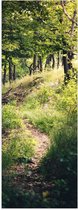 WallClassics - Poster (Mat) - Bomen op Berg omhoog - 20x60 cm Foto op Posterpapier met een Matte look