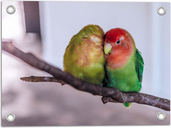 WallClassics - Poster de jardin – Deux oiseaux amoureux sur une branche - 40 x 30 cm Photo sur poster de jardin (décoration murale pour extérieur et intérieur)