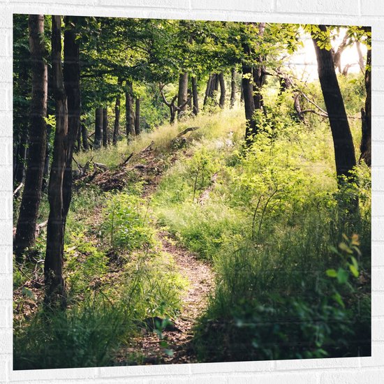WallClassics - Muursticker - Bomen op Berg omhoog - 100x100 cm Foto op Muursticker