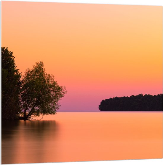 WallClassics - Acrylglas - Boom over Water bij Oranje/Roze Lucht - 100x100 cm Foto op Acrylglas (Wanddecoratie op Acrylaat)