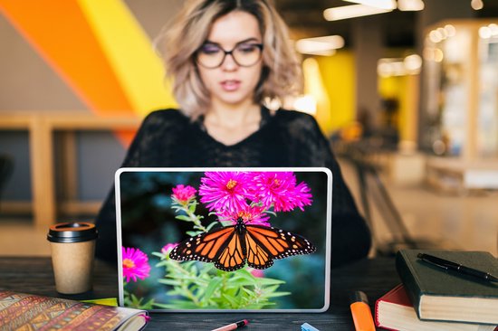 Autocollant pour ordinateur portable - 11,6 pouces - Papillon - Botanique - Fleurs - 30x21cm - Autocollants pour ordinateur portable - Peau pour ordinateur portable - Couverture