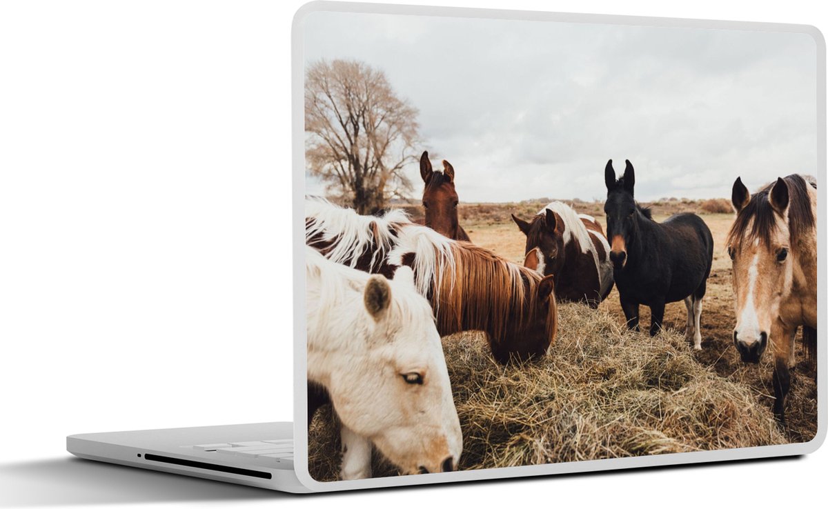 Laptop sticker - 17.3 inch - Dieren - Paard - Paarden - 40x30cm - Laptopstickers - Laptop skin - Cover