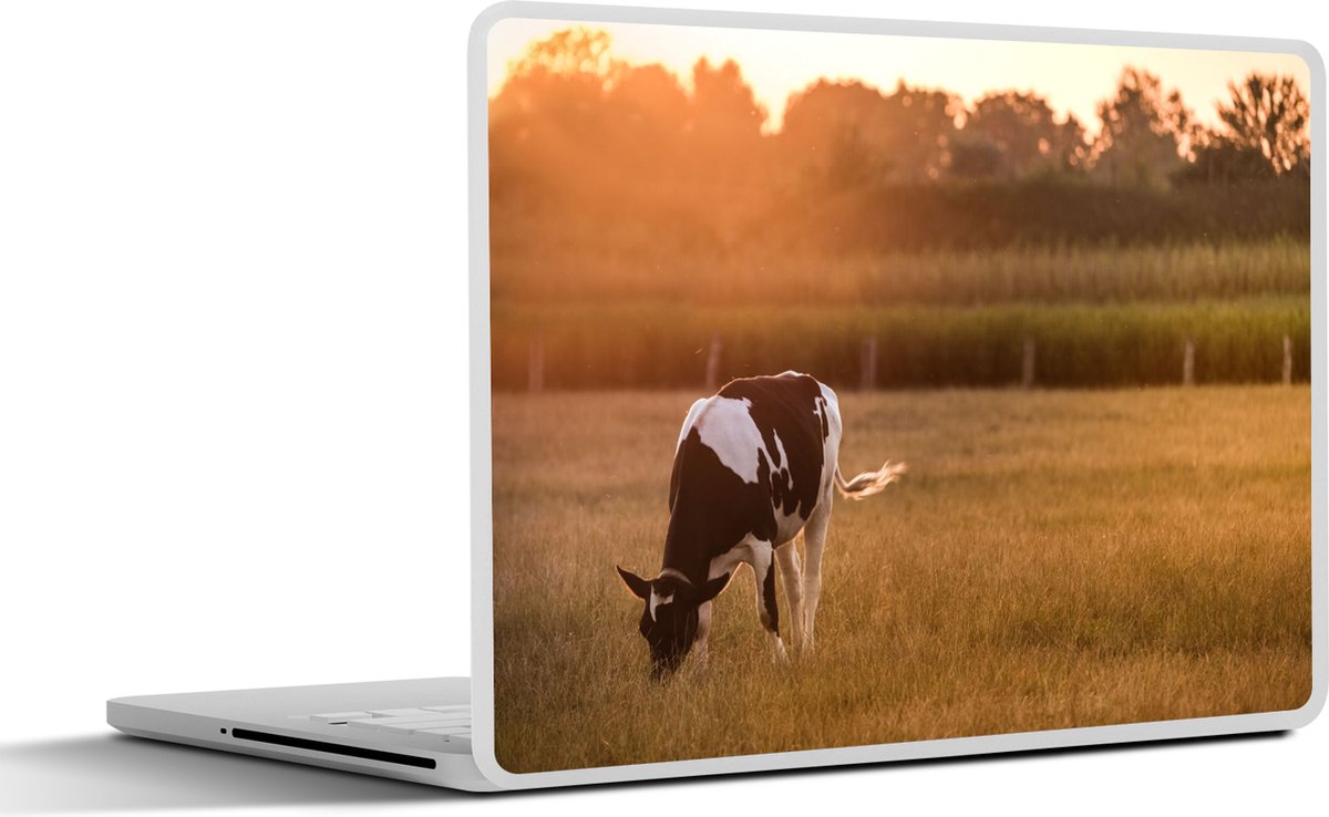 Laptop sticker - 14 inch - Koe - Zon - Dieren - 32x5x23x5cm - Laptopstickers - Laptop skin - Cover