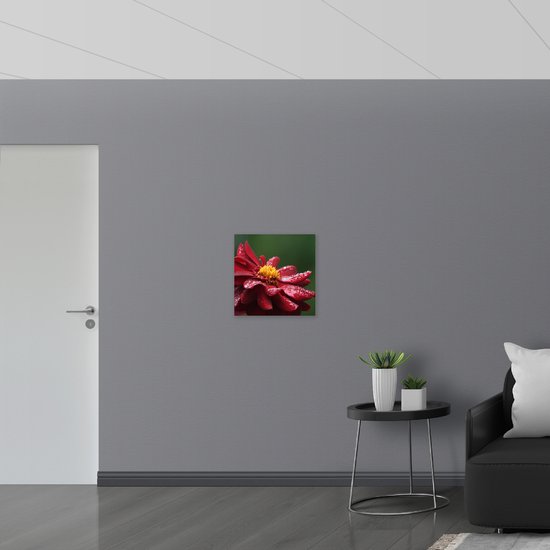 WallClassics - PVC Schuimplaat- Dahlia Plant in het Rood - 50x50 cm Foto op PVC Schuimplaat