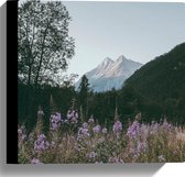 WallClassics - Canvas  - Roze Bloesemtakken in Berggebied - 30x30 cm Foto op Canvas Schilderij (Wanddecoratie op Canvas)