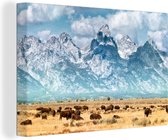 Canvas Schilderij Een kudde bizons in een kudde gebied - 60x40 cm - Wanddecoratie