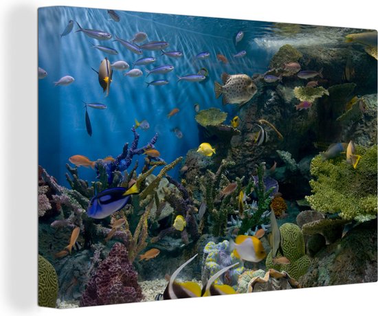 Levendige onderwaterwereld Canvas - Foto print op Canvas schilderij (Wanddecoratie)