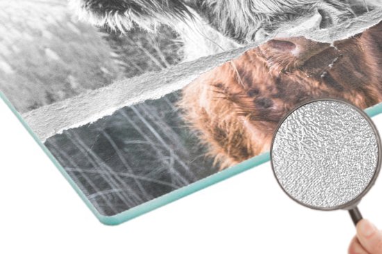 Planche à découper en Verres - 39x28 - Highlander écossais - Vache - Zwart - Wit - Planches à découper en Glas