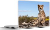 Laptop sticker - 14 inch - Luipaard - Dieren - Natuur - 32x5x23x5cm - Laptopstickers - Laptop skin - Cover