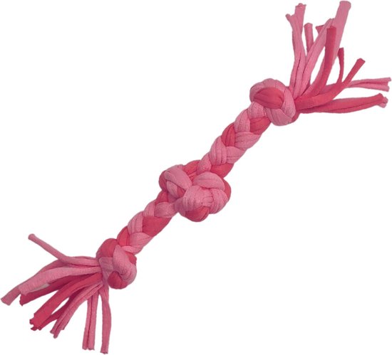 Nylabone Chew Pro Action Dental - Kauwspeelgoed