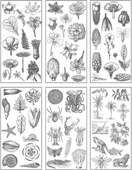 Washi Stickers Zwart – 6 Vellen Met Stickers – US041 Thema Zwart/grijze Tekeningen, Zee, Dieren, Planten – Bullet Journal – Scrapbooking – Agenda Stickers – Decoratie Sticker