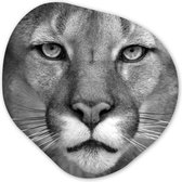 Décoration murale bio - Décoration murale en plastique - Tableau bio - Panthère - Animaux sauvages - Zwart - Wit- 90x90 cm - Forme miroir bio sur plastique