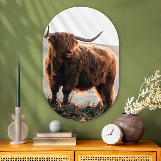 Ovale mural - Ovale mural - Décoration murale murale en plastique - Tableau ovale - Highlander écossais - Animaux - Rural - Paysage - Vache - Nature - 60x90 cm - Forme miroir ovale sur plastique