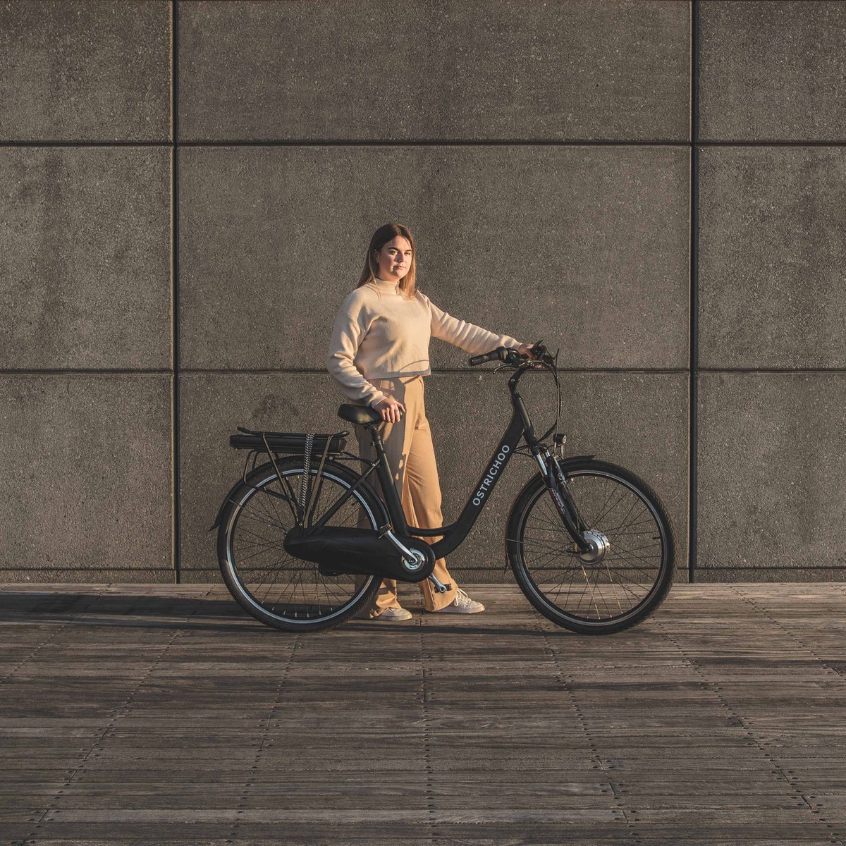 Ostrichoo® Lucius - Elektrische Stadsfiets - E-bike - Uitgerust met Supercondensator - 30 min laadtijd – foto 6