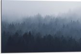 WallClassics - Dibond - Bos in de Mist - 75x50 cm Foto op Aluminium (Met Ophangsysteem)