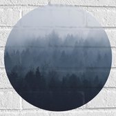 WallClassics - Muursticker Cercle - Forêt dans la brume - 40x40 cm Photo sur Muursticker