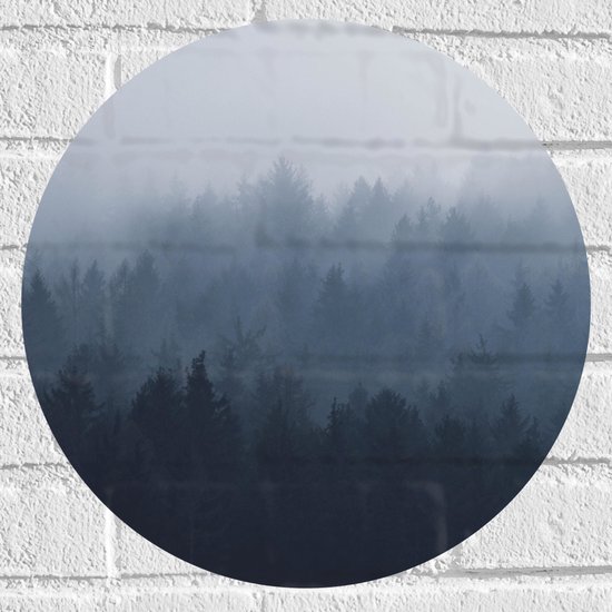 WallClassics - Muursticker Cercle - Forêt dans la brume - 40x40 cm Photo sur Muursticker