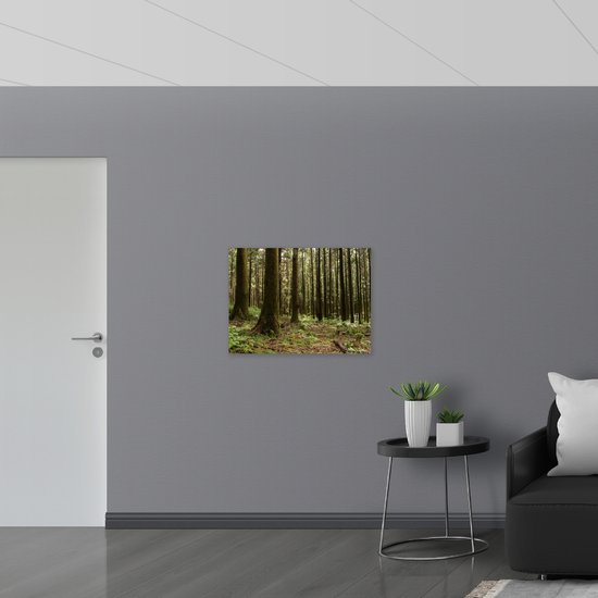 WallClassics - Panneau en mousse PVC - Arbres et Plantes dans la forêt - Photo 80x60 cm sur panneau en mousse PVC