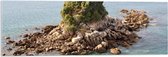 WallClassics - Acrylglas - Mini Eiland van Stenen en Planten in de Zee - 90x30 cm Foto op Acrylglas (Met Ophangsysteem)
