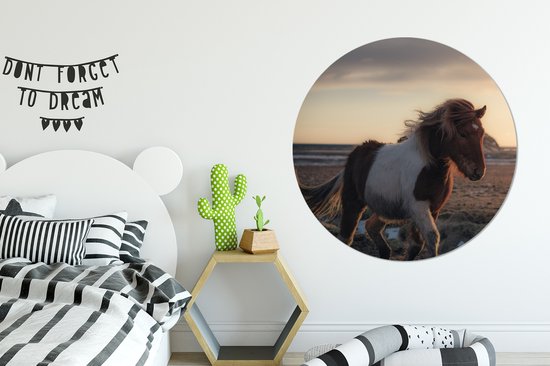 Trot cheval islandais coloré pendant le coucher du soleil Sticker mural cercle mural ⌀ 120 cm / cercle papier peint / cercle mural / cercle vivant - auto-adhésif et coupe ronde