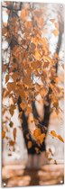 WallClassics - Tuinposter – Gele Bladeren aan Tak van Bomen met Wazige Achtergrond - 50x150 cm Foto op Tuinposter  (wanddecoratie voor buiten en binnen)