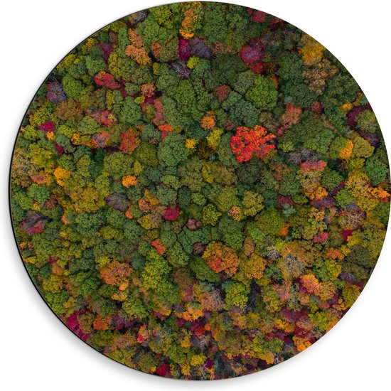 WallClassics - Dibond Muurcirkel - Rood Groen en Gele Bomen in het Bos vanuit de Lucht - 50x50 cm Foto op Aluminium Muurcirkel (met ophangsysteem)